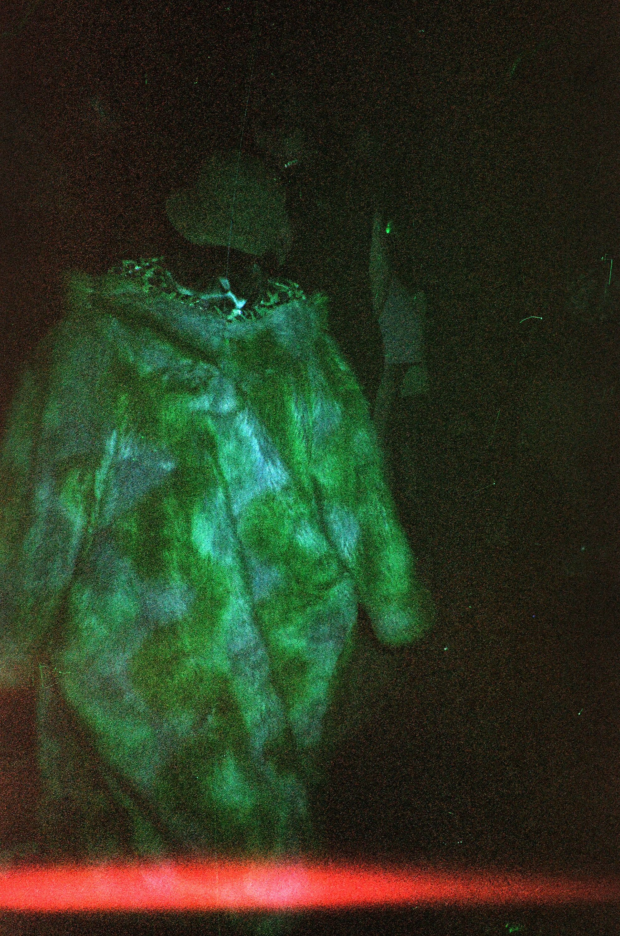Florescence.MarissaJezak